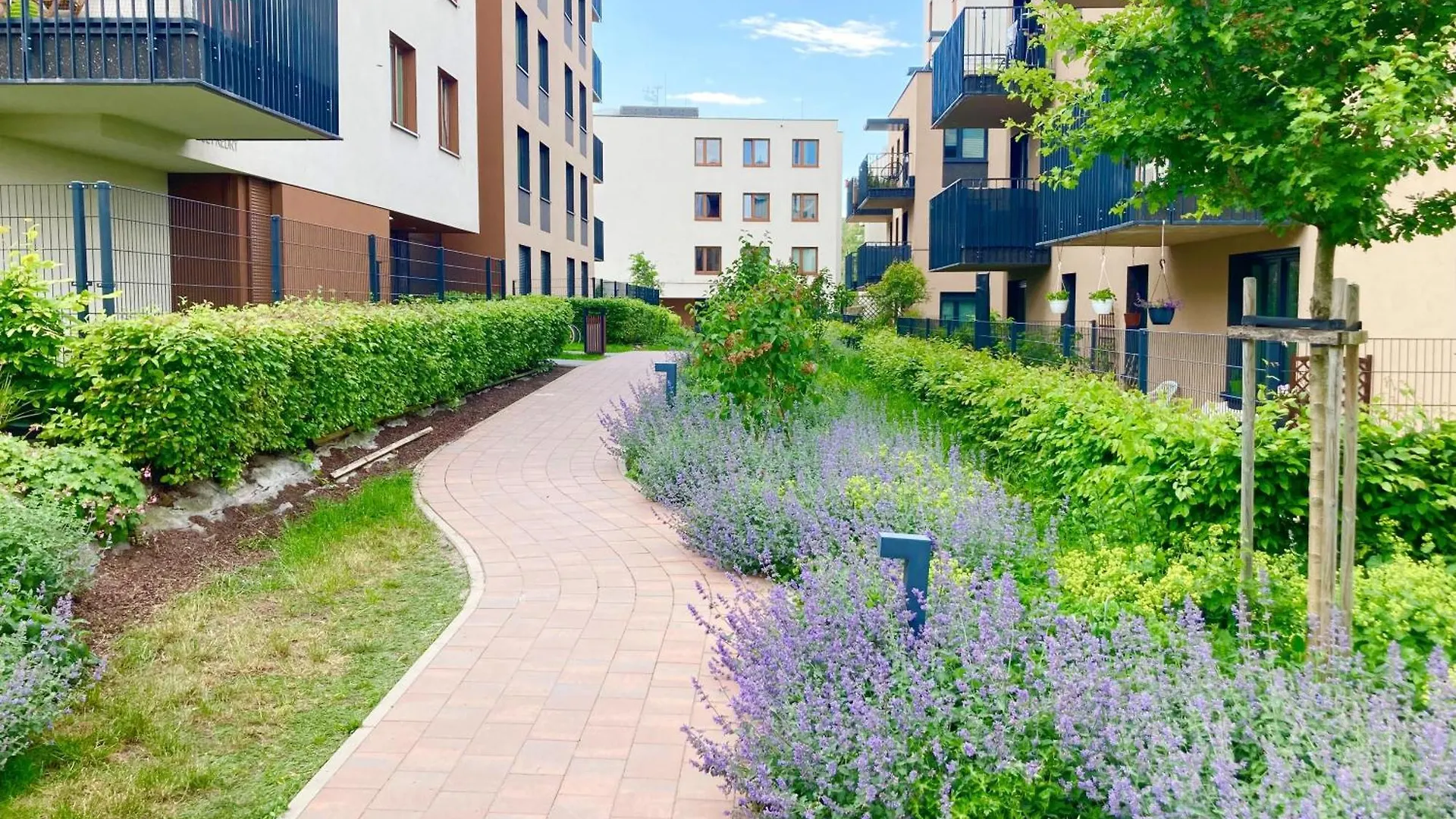公寓 Apartament Lagiewniki 克拉科夫 波兰